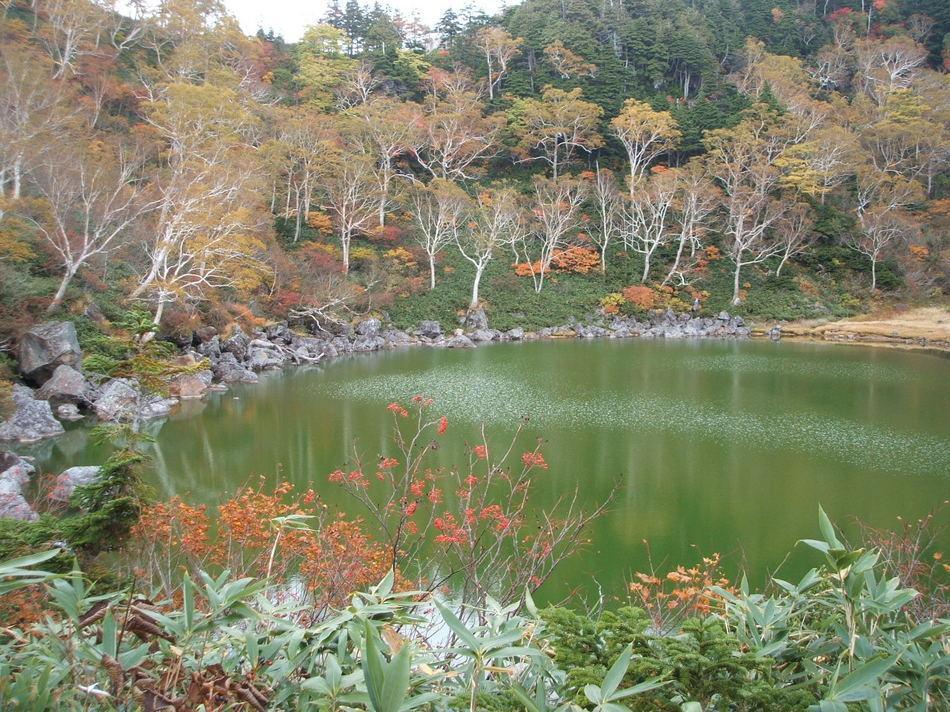 Natural Pension Pumpkin Отари Экстерьер фото